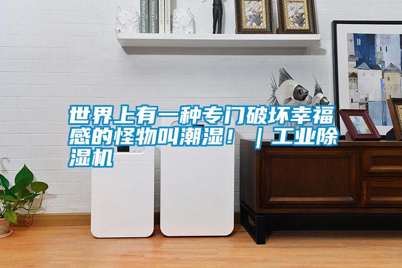 世界上有一種專門破壞幸福感的怪物叫潮濕?。I除濕機