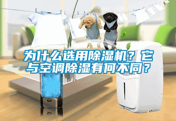 為什么選用除濕機？它與空調(diào)除濕有何不同？