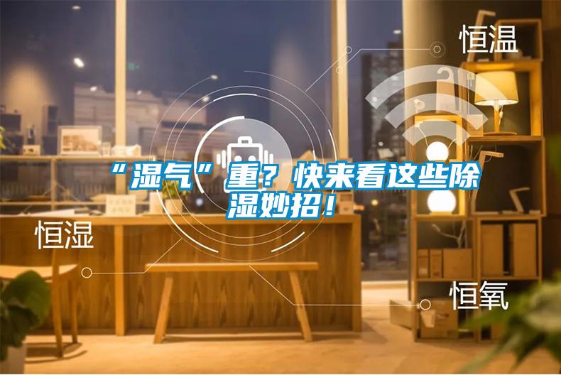“濕氣”重？快來看這些除濕妙招！