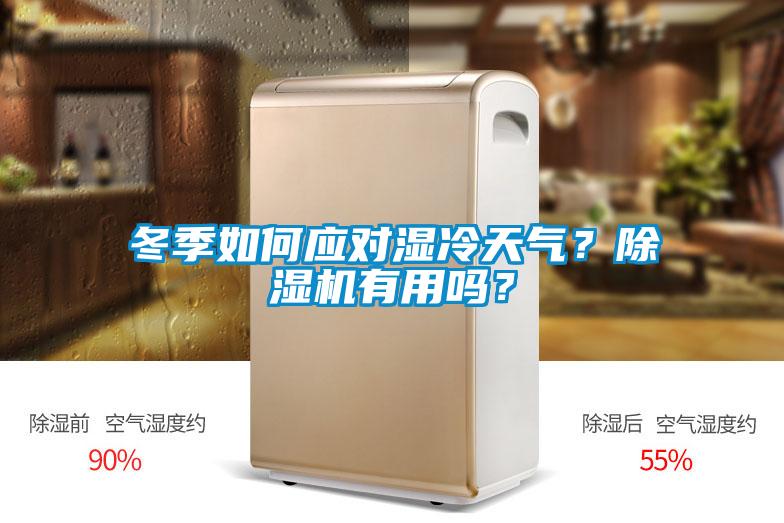冬季如何應對濕冷天氣？除濕機有用嗎？