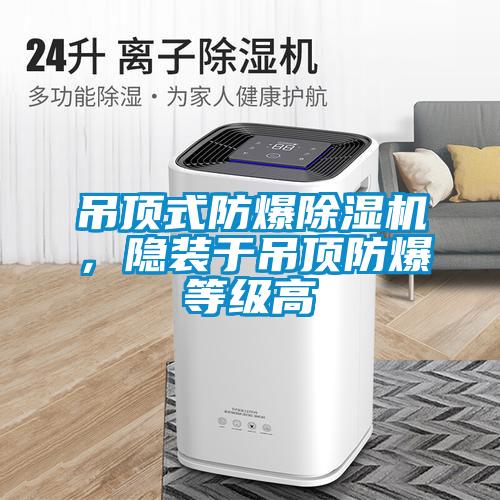 吊頂式防爆除濕機(jī)，隱裝于吊頂防爆等級高