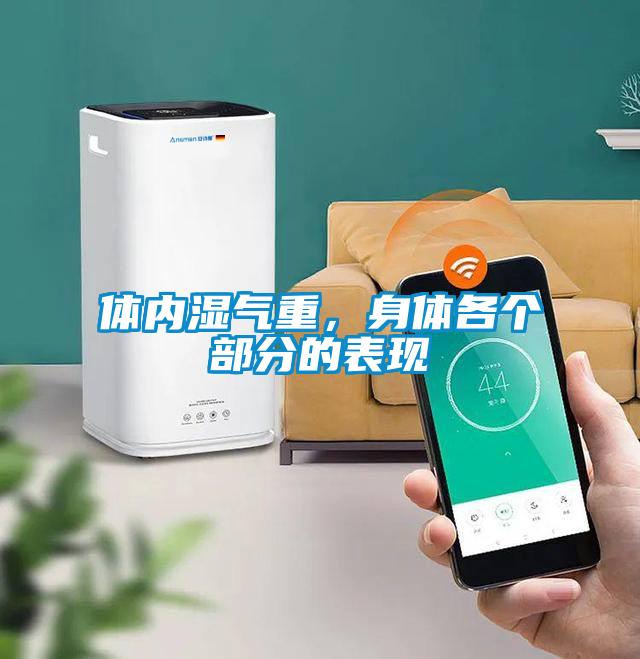 體內濕氣重，身體各個部分的表現