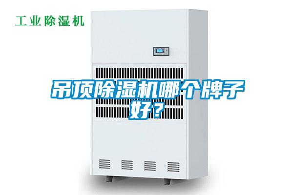 吊頂除濕機哪個牌子好？