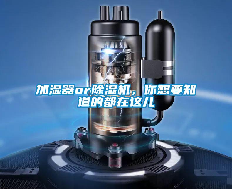 加濕器or除濕機，你想要知道的都在這兒