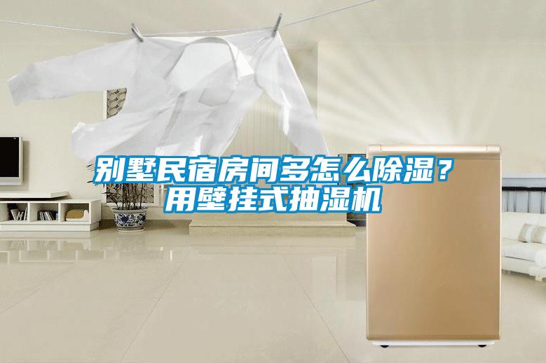 別墅民宿房間多怎么除濕？用壁掛式抽濕機