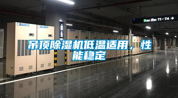 吊頂除濕機低溫適用，性能穩定