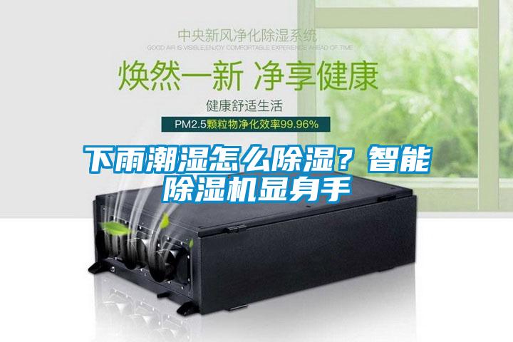 下雨潮濕怎么除濕？智能除濕機(jī)顯身手