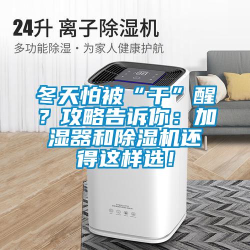 冬天怕被“干”醒？攻略告訴你：加濕器和除濕機還得這樣選！