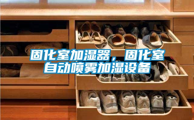 固化室加濕器，固化室自動噴霧加濕設備