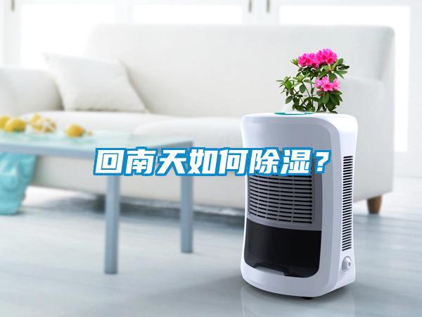 回南天如何除濕？