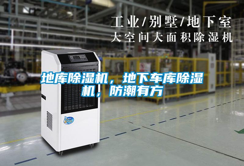 地庫(kù)除濕機(jī)，地下車(chē)庫(kù)除濕機(jī)，防潮有方