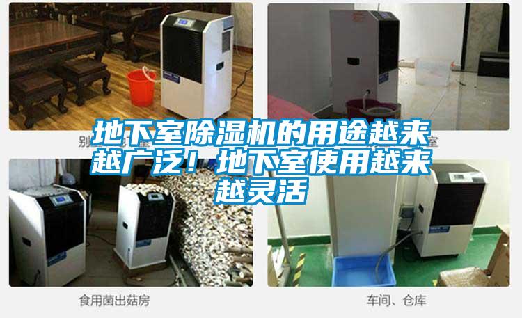 地下室除濕機的用途越來越廣泛！地下室使用越來越靈活