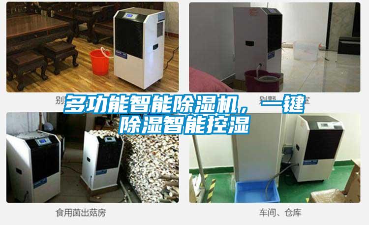 多功能智能除濕機，一鍵除濕智能控濕
