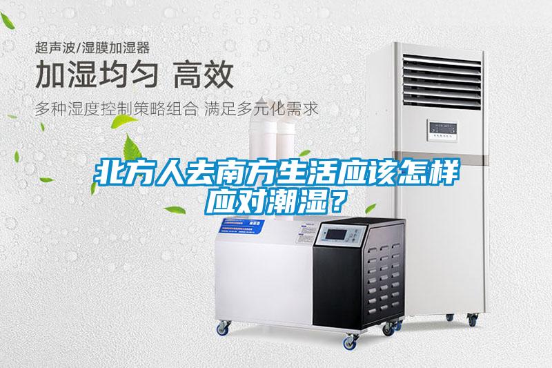 北方人去南方生活應該怎樣應對潮濕？