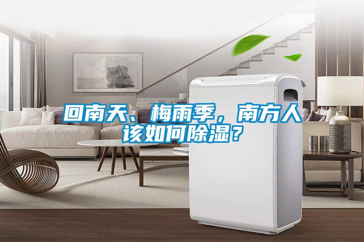 回南天、梅雨季，南方人該如何除濕？