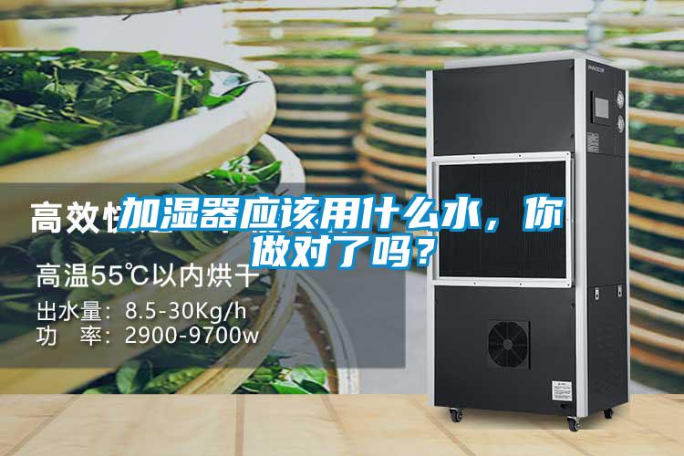 加濕器應該用什么水，你做對了嗎？