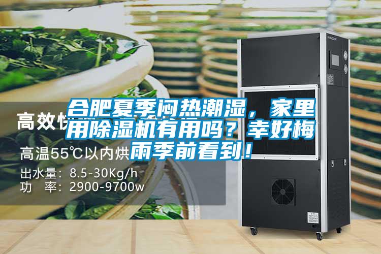 合肥夏季悶熱潮濕，家里用除濕機有用嗎？幸好梅雨季前看到！
