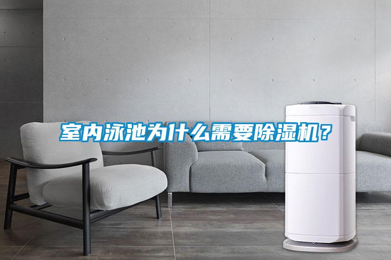 室內泳池為什么需要除濕機？