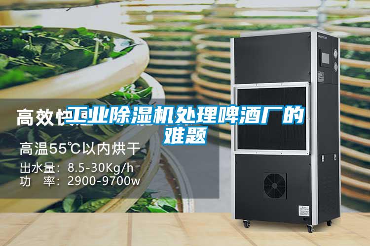 工業(yè)除濕機(jī)處理啤酒廠(chǎng)的難題
