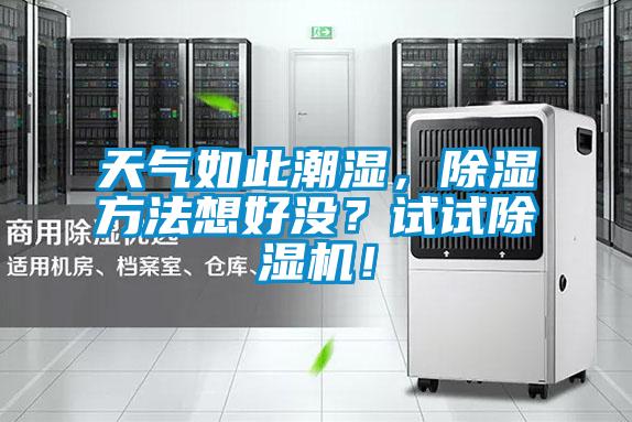 天氣如此潮濕，除濕方法想好沒？試試除濕機！