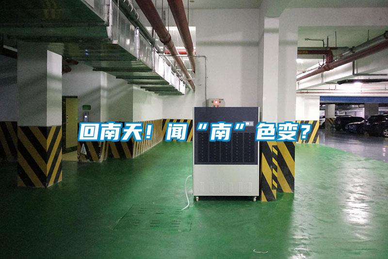 回南天！聞“南”色變？