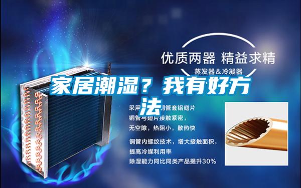 家居潮濕？我有好方法