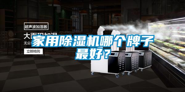 家用除濕機哪個牌子最好？