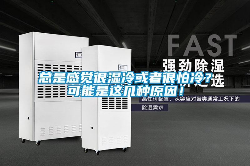 總是感覺很濕冷或者很怕冷？可能是這幾種原因！