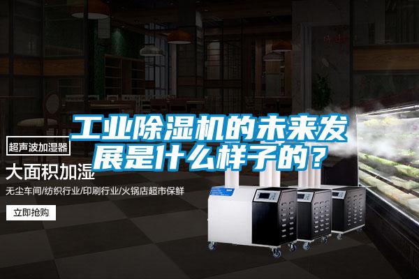 工業(yè)除濕機(jī)的未來發(fā)展是什么樣子的？