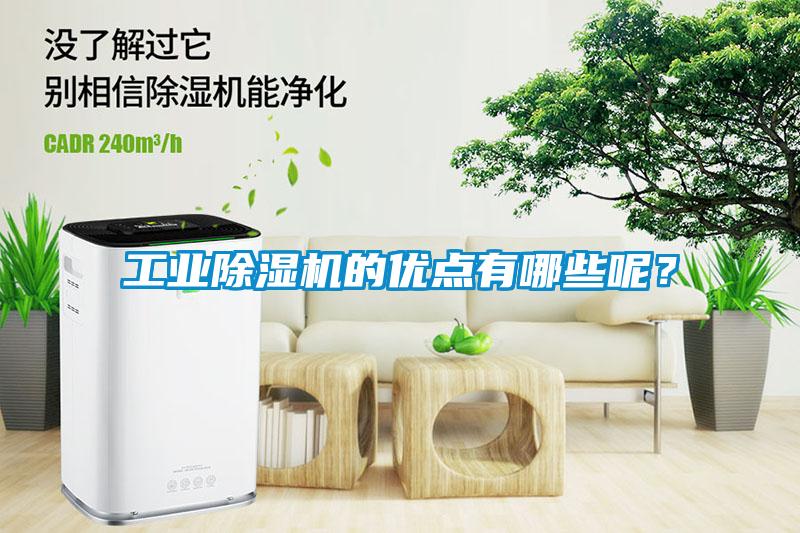 工業除濕機的優點有哪些呢？