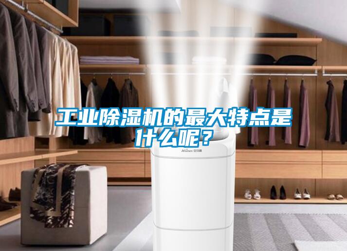 工業(yè)除濕機(jī)的最大特點(diǎn)是什么呢？
