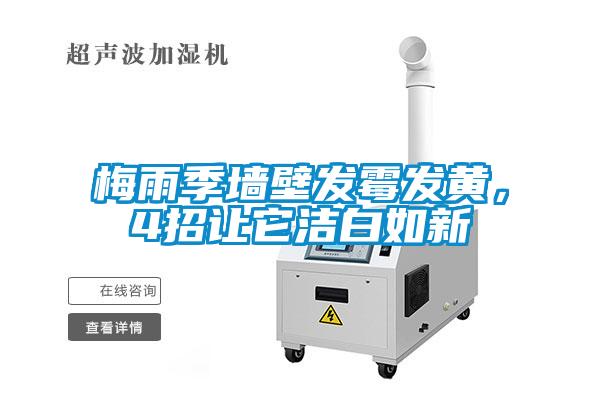 梅雨季墻壁發霉發黃，4招讓它潔白如新