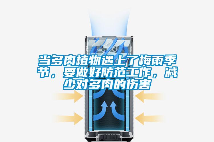 當多肉植物遇上了梅雨季節，要做好防范工作，減少對多肉的傷害