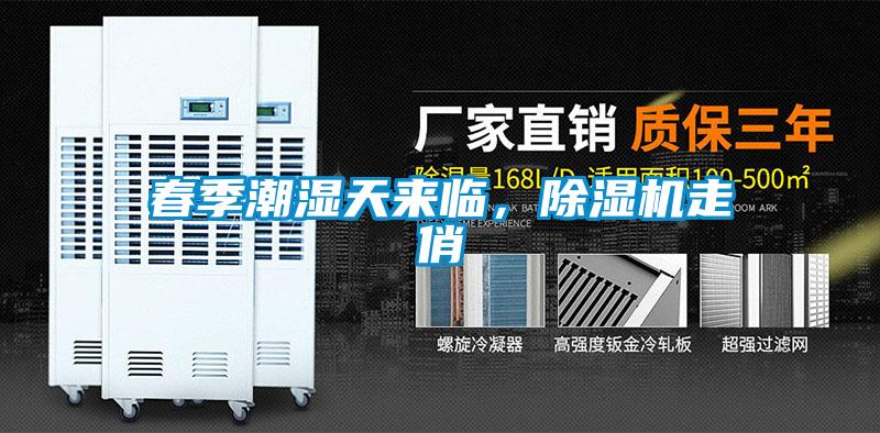 春季潮濕天來臨，除濕機走俏