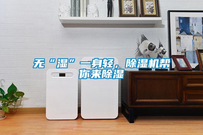 無“濕”一身輕，除濕機幫你來除濕