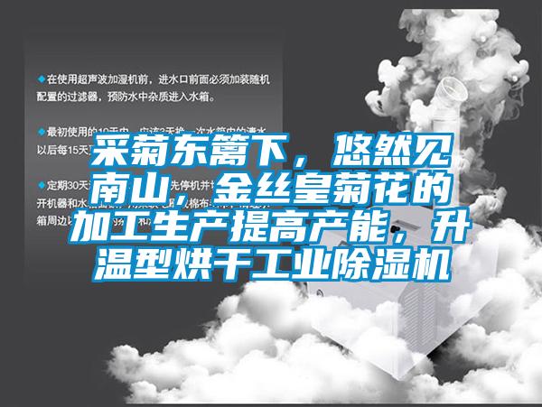 采菊東籬下，悠然見南山，金絲皇菊花的加工生產(chǎn)提高產(chǎn)能，升溫型烘干工業(yè)除濕機