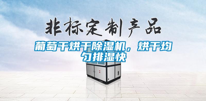 葡萄干烘干除濕機(jī)，烘干均勻排濕快
