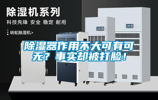 除濕器作用不大可有可無？事實卻被打臉！