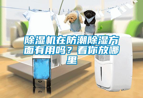 除濕機(jī)在防潮除濕方面有用嗎？看你放哪里