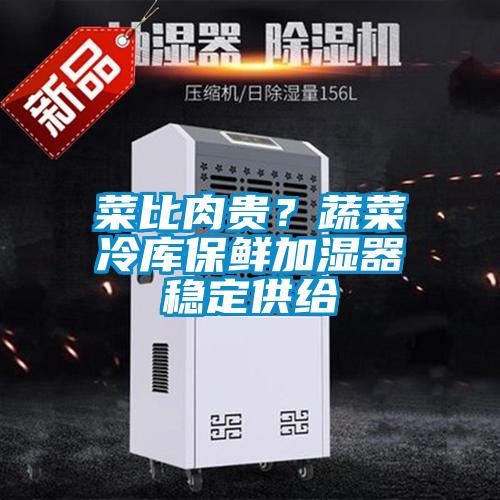 菜比肉貴？蔬菜冷庫保鮮加濕器穩定供給