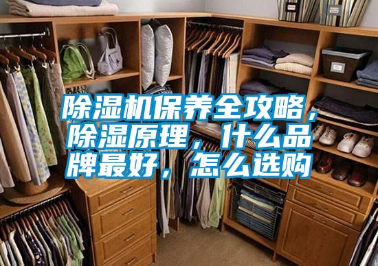 除濕機保養全攻略，除濕原理，什么品牌最好，怎么選購