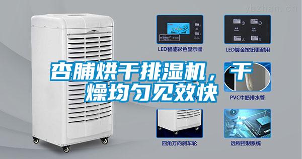 杏脯烘干排濕機，干燥均勻見效快