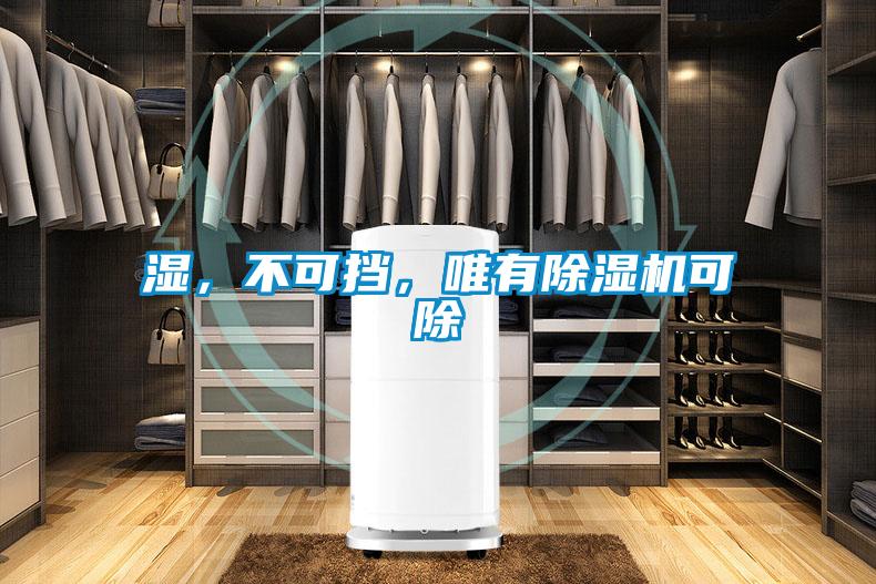 濕，不可擋，唯有除濕機可除