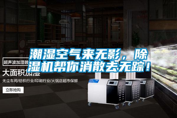 潮濕空氣來無影，除濕機幫你消散去無蹤！
