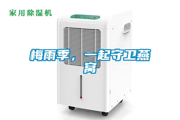 梅雨季，一起守衛燕窩