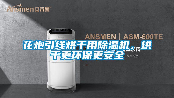 花炮引線烘干用除濕機，烘干更環保更安全