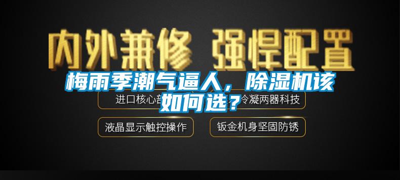 梅雨季潮氣逼人，除濕機該如何選？