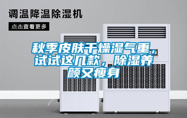 秋季皮膚干燥濕氣重，試試這幾款，除濕養顏又瘦身