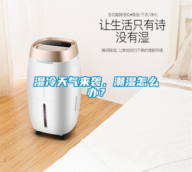 濕冷天氣來襲，潮濕怎么辦？