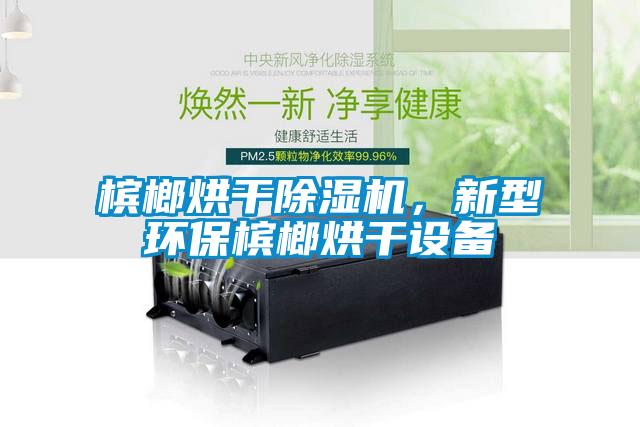 檳榔烘干除濕機，新型環保檳榔烘干設備